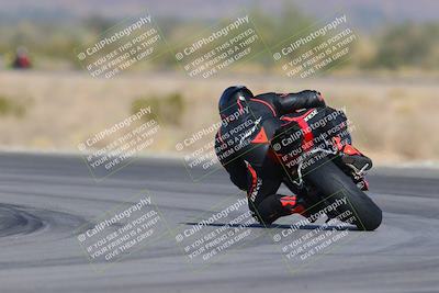 media/Dec-09-2023-SoCal Trackdays (Sat) [[76a8ac2686]]/Turn 14 Backside (1050am)/